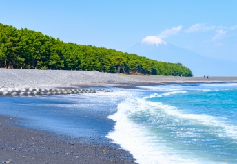 三保の松原
